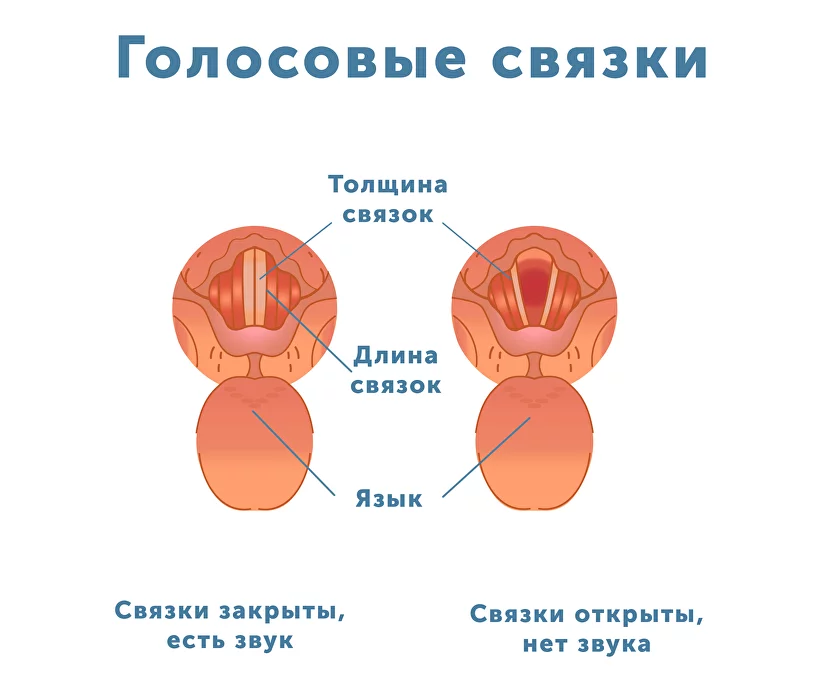 effektivnye-tehniki-i-uprazhneniya-dlya-ponizheniya-golosa-na-odin-ton